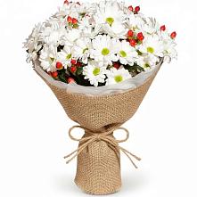 Букет цветов из:  Хризантемы #REPLACE_PRED# Урае